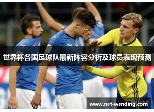 世界杯各国足球队最新阵容分析及球员表现预测 世界杯各国足球队最新阵容分析及球员表现预测