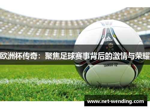 欧洲杯传奇:聚焦足球赛事背后的激情与荣耀 欧洲杯传奇:聚焦足球赛事背后的激情与荣耀