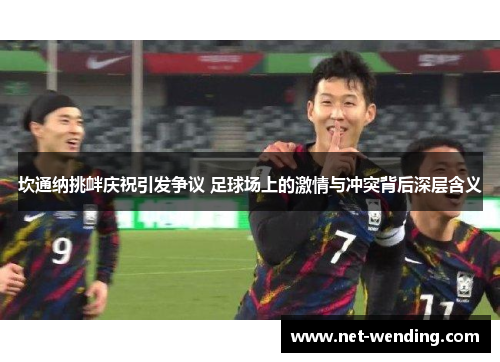 坎通纳挑衅庆祝引发争议 足球场上的激情与冲突背后深层含义 坎通纳挑衅庆祝引发争议 足球场上的激情与冲突背后深层含义