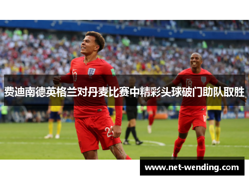 费迪南德英格兰对丹麦比赛中精彩头球破门助队取胜 费迪南德英格兰对丹麦比赛中精彩头球破门助队取胜