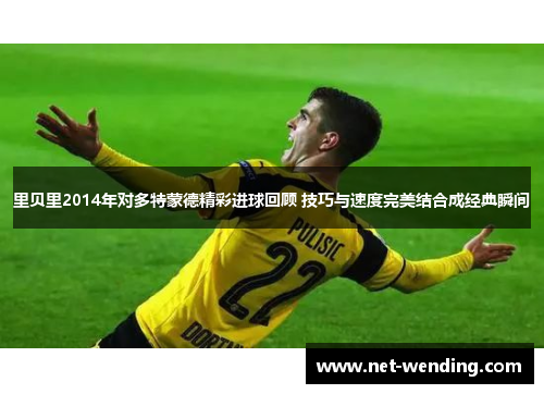 里贝里2014年对多特蒙德精彩进球回顾 技巧与速度完美结合成经典瞬间 里贝里2014年对多特蒙德精彩进球回顾 技巧与速度完美结合成经典瞬间