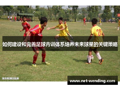 如何建设和完善足球青训体系培养未来球星的关键策略