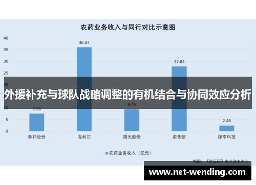 外援补充与球队战略调整的有机结合与协同效应分析