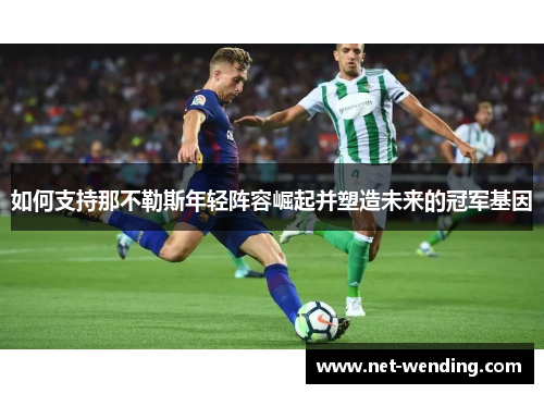 如何支持那不勒斯年轻阵容崛起并塑造未来的冠军基因 如何支持那不勒斯年轻阵容崛起并塑造未来的冠军基因