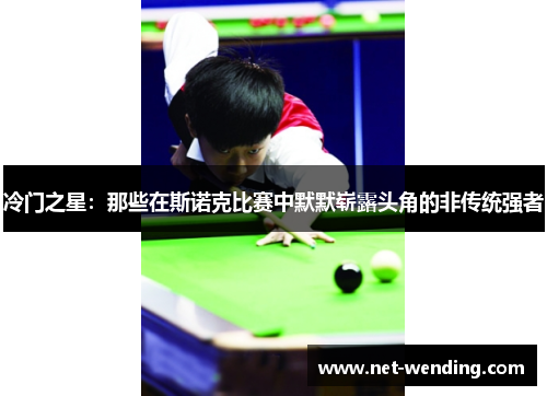 冷门之星:那些在斯诺克比赛中默默崭露头角的非传统强者 冷门之星:那些在斯诺克比赛中默默崭露头角的非传统强者