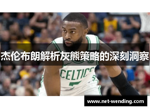 杰伦布朗解析灰熊策略的深刻洞察 杰伦布朗解析灰熊策略的深刻洞察