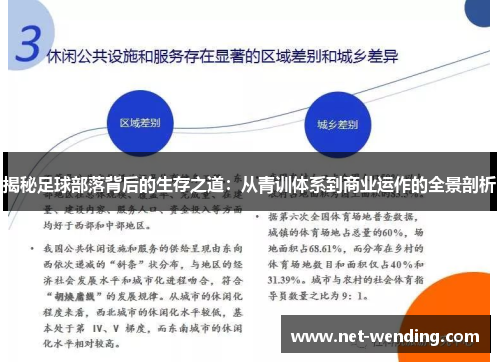 揭秘足球部落背后的生存之道：从青训体系到商业运作的全景剖析