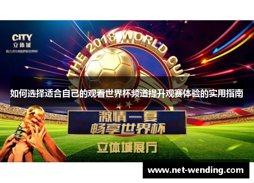 如何选择适合自己的观看世界杯频道提升观赛体验的实用指南
