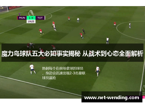 魔力鸟球队五大必知事实揭秘 从战术到心态全面解析