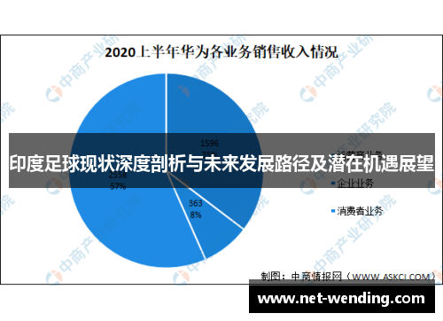 印度足球现状深度剖析与未来发展路径及潜在机遇展望
