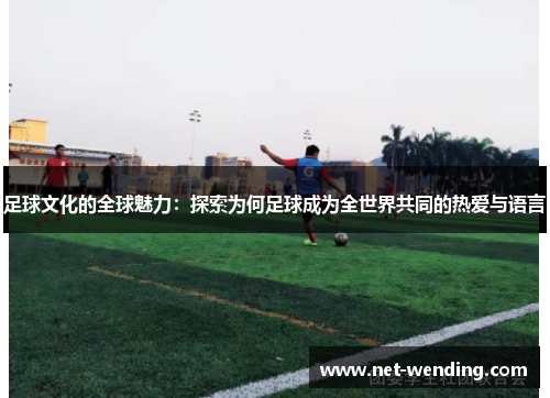 足球文化的全球魅力：探索为何足球成为全世界共同的热爱与语言