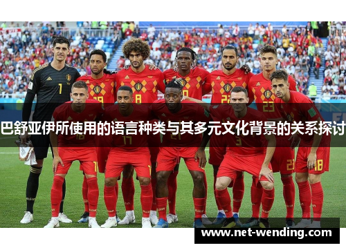 巴舒亚伊所使用的语言种类与其多元文化背景的关系探讨